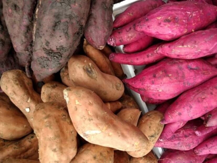 5 cosas que todos compramos en mercado Jamaica durante otoño
