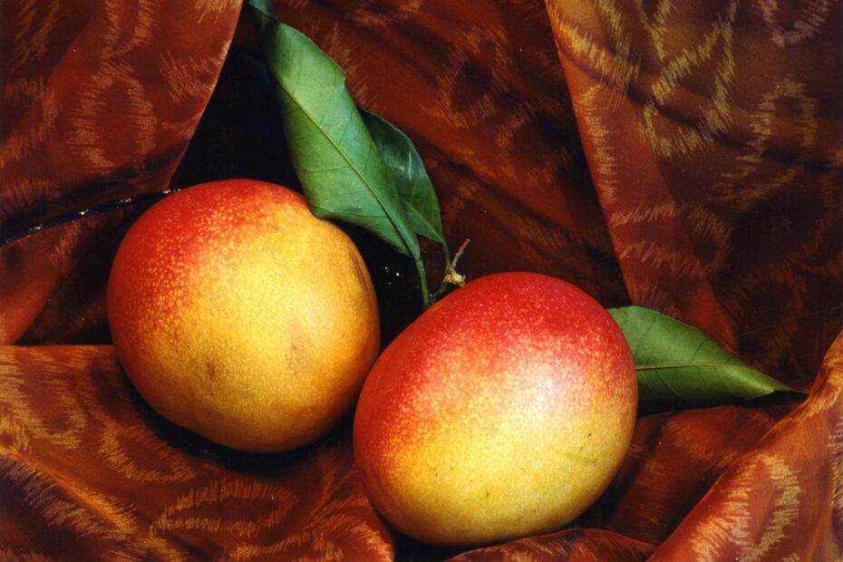 Disfruta del sabor y frescura del mango, una fruta tropical llena de beneficios nutritivos. Foto: Unsplash