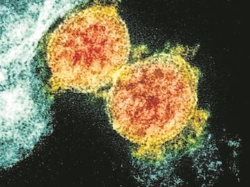 Las mutaciones del Covid-19 generan reinfecciones: IPN