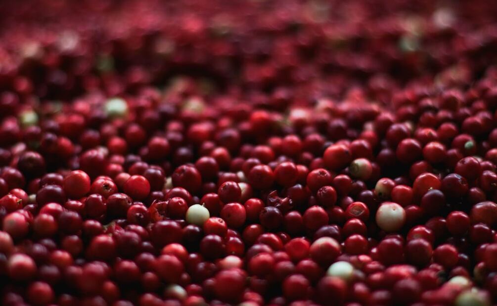 Alimentos para desintoxicar tus pulmones. Foto: Pexels