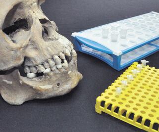 Genética revela males de los primeros africanos en América 