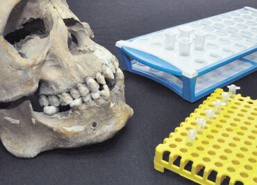 Genética revela males de los primeros africanos en América