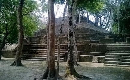 Dieta a base de maíz pudo vulnerar a la cultura maya