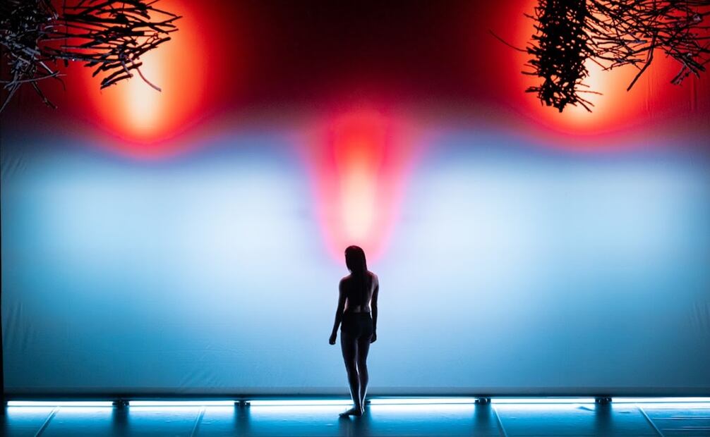 Aspectos de "Bósque". Foto: Quentin Chevrier.