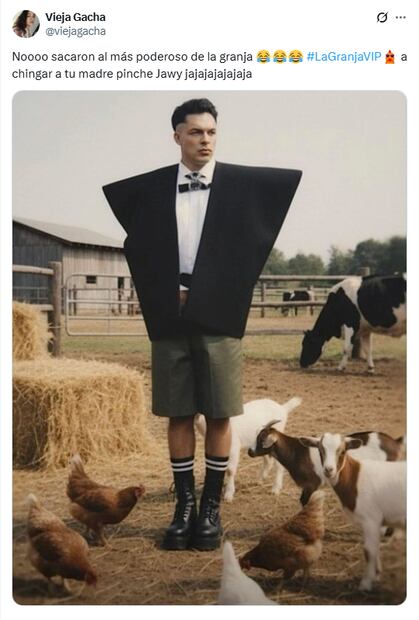 Memes de la cuarta noche de eliminación en La Granja VIP. Foto: X