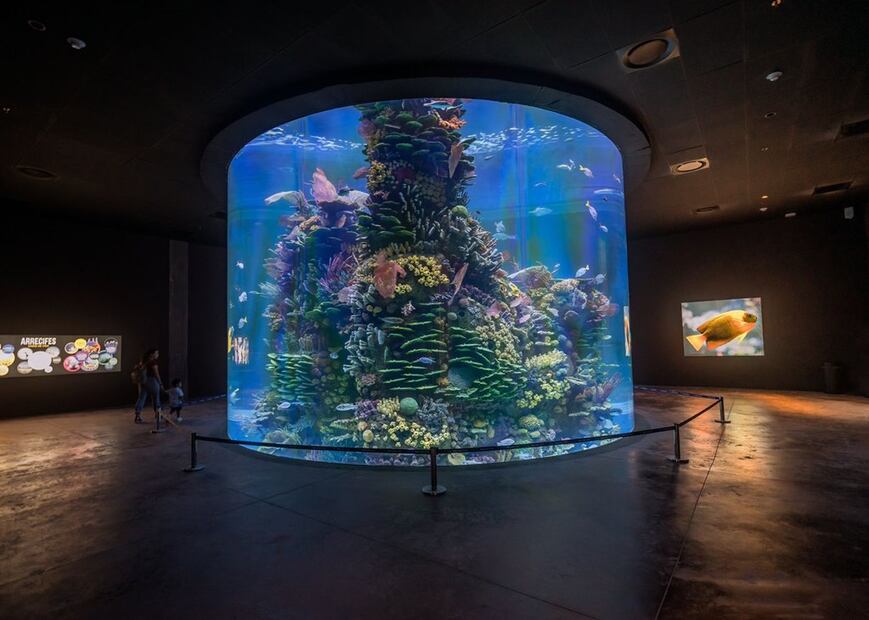Foto: Gran Acuario de Mazatlán Mar de Cortés