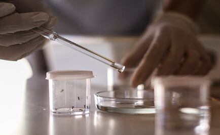 Gamboa respalda medidas para enfrentar virus como el zika