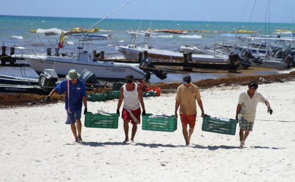 La llegada de la marea roja a costas yucatecas amenaza la actividad pesquera. Foto: Archivo