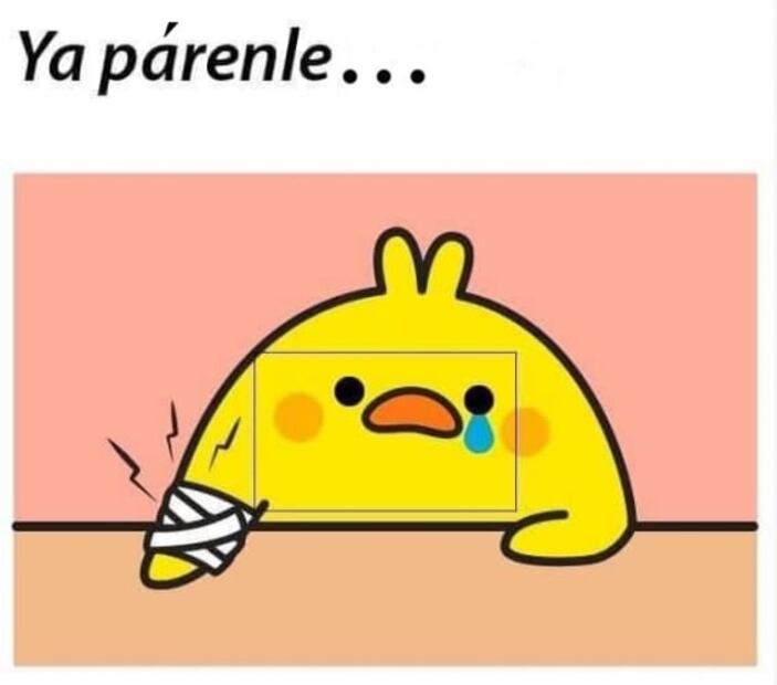 Los mejores memes de "se tenía que decir y se dijo"