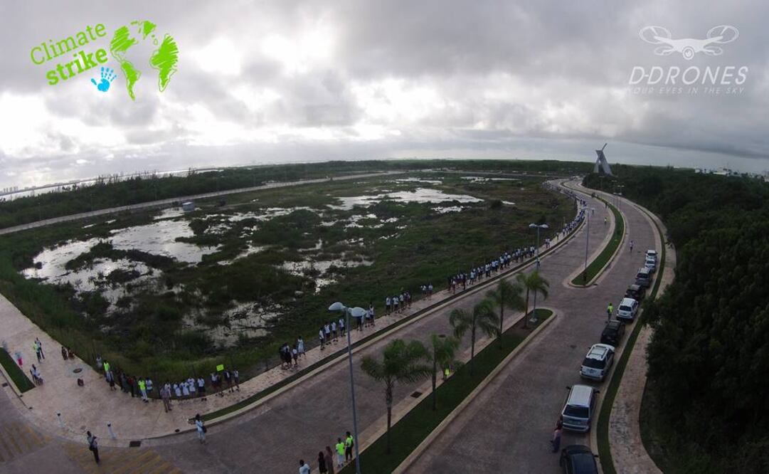 (Foto: Cortesía de Movimiento "Salvemos el Manglar Tajamar")