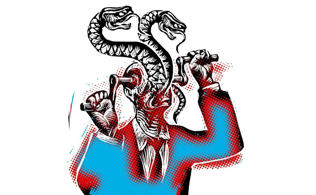 Salvador García Soto