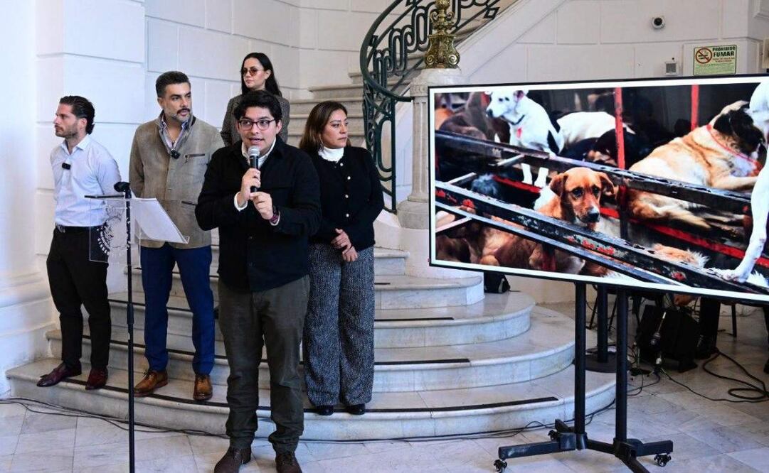 Albergues y refugios para animales no pueden funcionar únicamente con corazón: Jesús Sesma.
Foto: Especial.