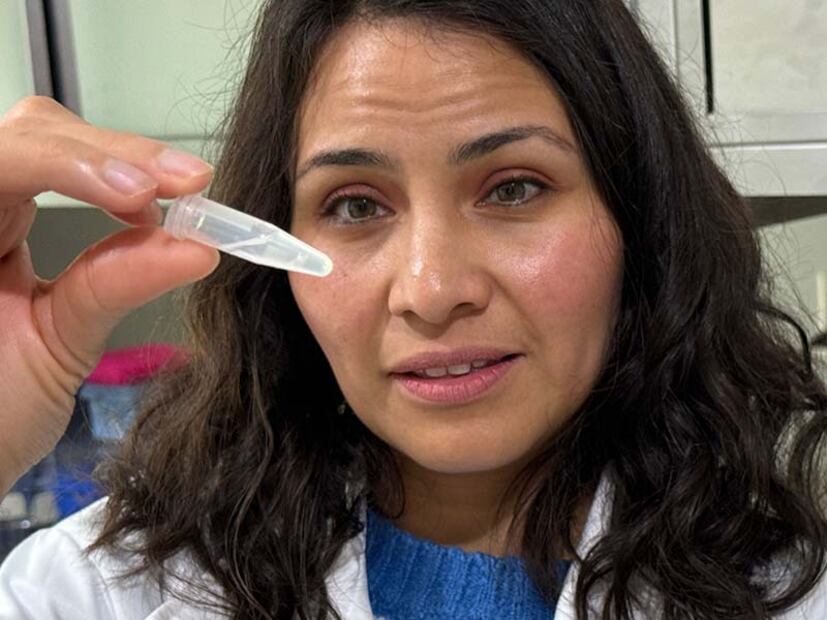 Blanca Valladares Riverol sostiene una muestra de ADN del cóndor de California, en el Laboratorio de Genómica de la Conservación en Ciudad de México. El trabajo de conservación del cóndor comienza en el laboratorio, donde se realizan estudios de parentesco de las aves, pruebas de sexado, monitoreo de enfermedades, entre otros.  |  FOTO: Iván Carrillo.