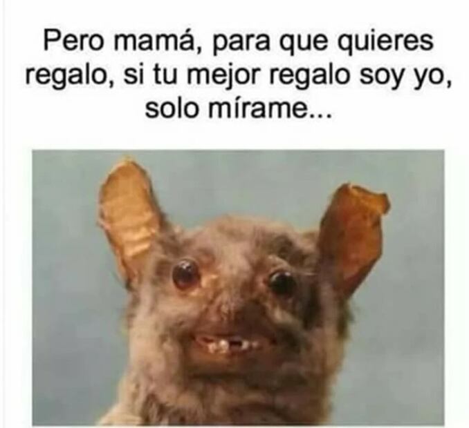 Meme respecto al Día de las Madres. Foto: Twitter