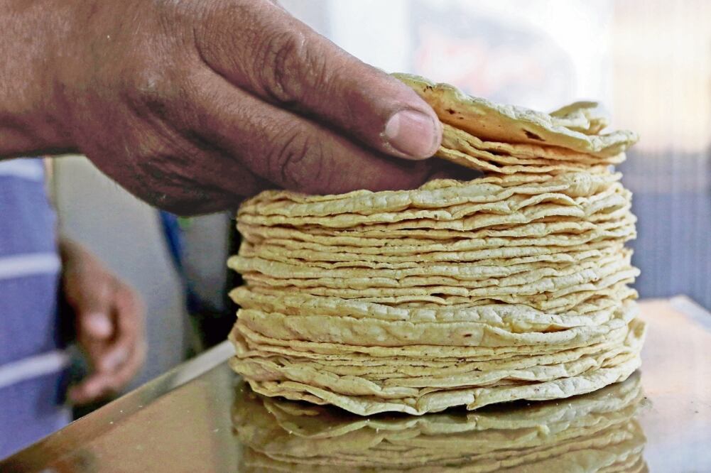 Integrantes de la industria buscan que el gobierno federal les proporcione subsidios en los insumos que requieren para producir el alimento. (ARCHIVO. EL UNIVERSAL)