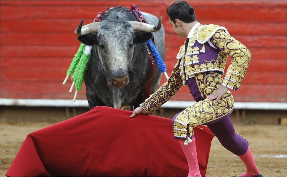 El sector taurino asegura que la prohibición dejará pérdidas millonarias a nivel nacional. FOTO: EFE