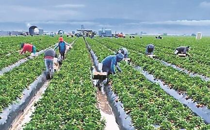 “Se revisará programa de jornaleros en Canadá”