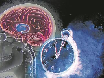 Determinan mecanismo que regula el ritmo de la glucosa en la sangre