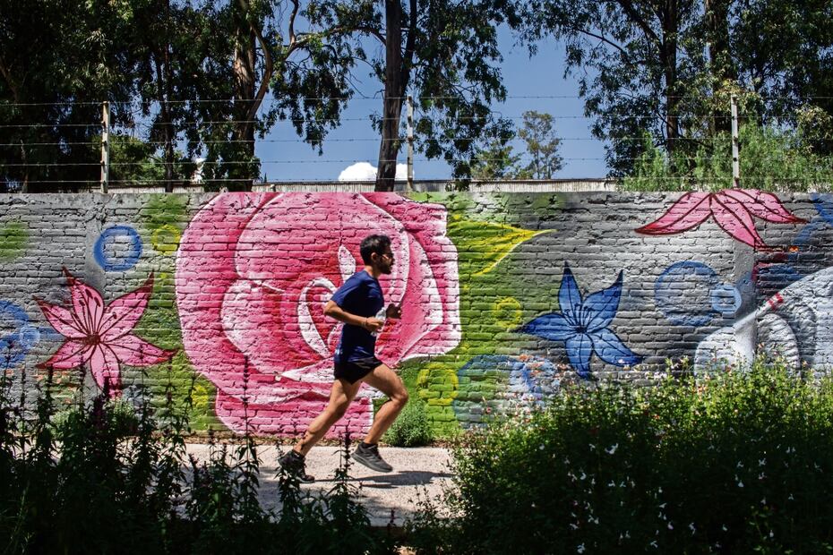 Hoy, los vecinos de la zona pueden disfrutar de un paseo en bicicleta, correr, caminar en familia y pasear a las mascotas. Foto: Gabriel Pano / El Universal