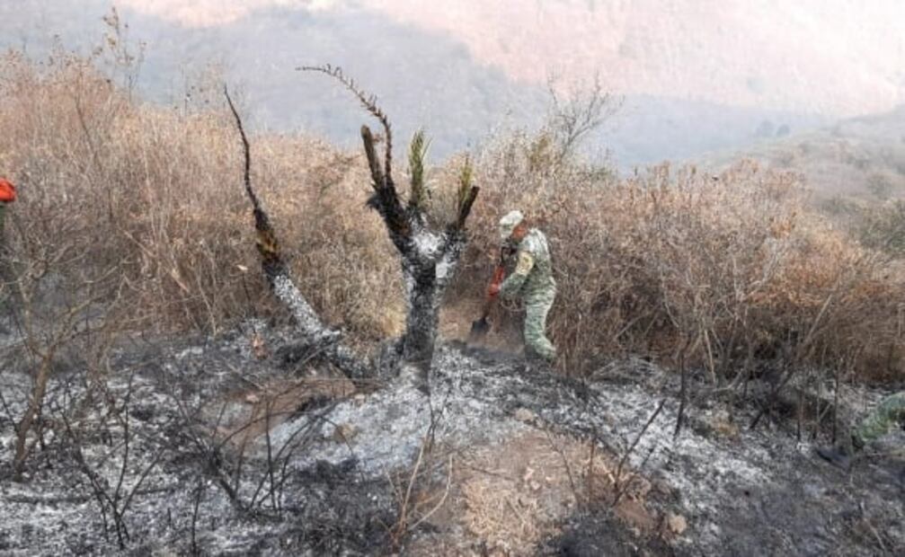 Controlan incendio forestal en la Sierra de Guadalupe en Coacalco