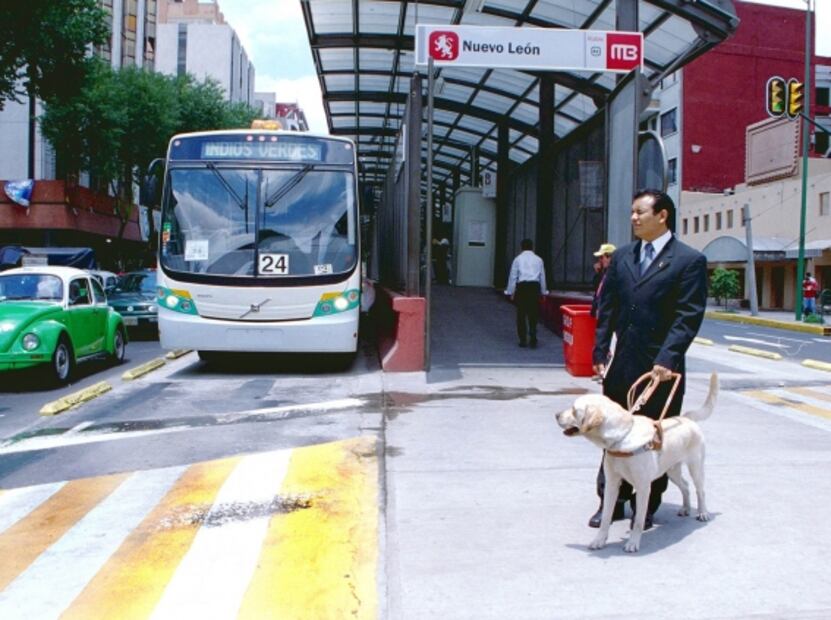 Los primeros perros lazarillos