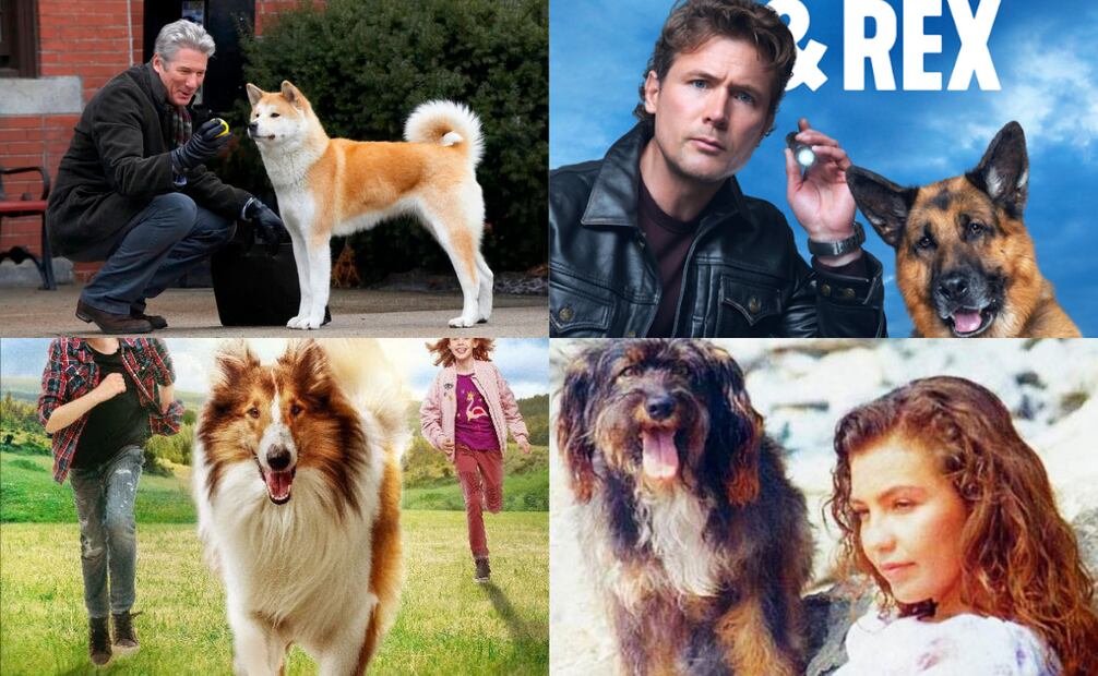 Personajes perrunos más emblemáticos de la televisión. Foto: Redes