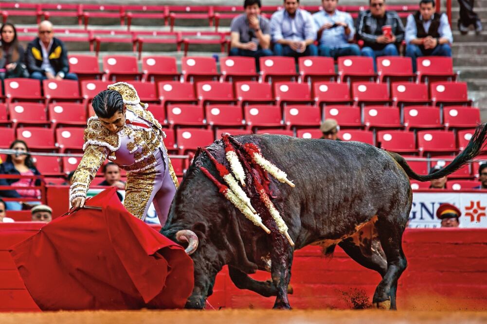 Silis le cortó la oreja al primero de Rancho Seco, ayer en La México (PAULINO SANTIAGO)