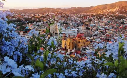 Inicia en diciembre distribución de "visas" en Guanajuato