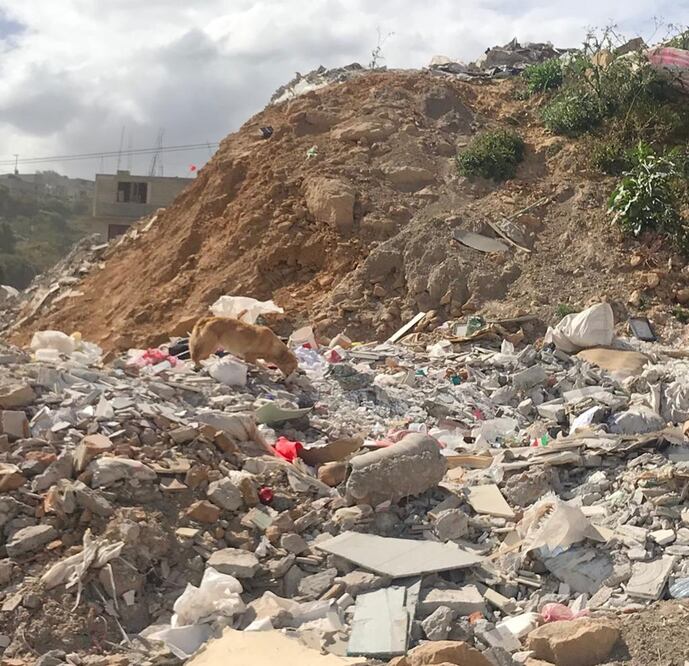 Foto: Rebeca Jiménez\El Universal