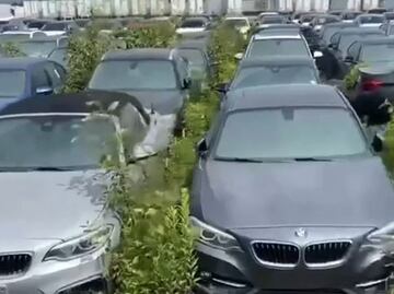 Más de 3,000 autos BMW completamente nuevos están abandonados y pudriéndose al aire libre