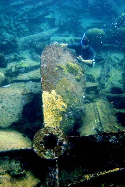 Corales y tiburones: snorkel en el atolón más grande de México