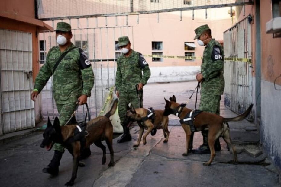 Con perros y radares, agentes buscan fosas clandestinas en penal de Topo Chico