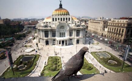 Perfiles de altura para una nueva ciudad