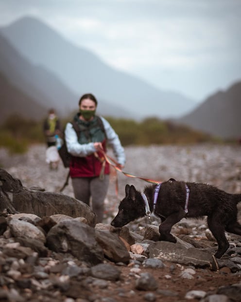 Foto: San Perro