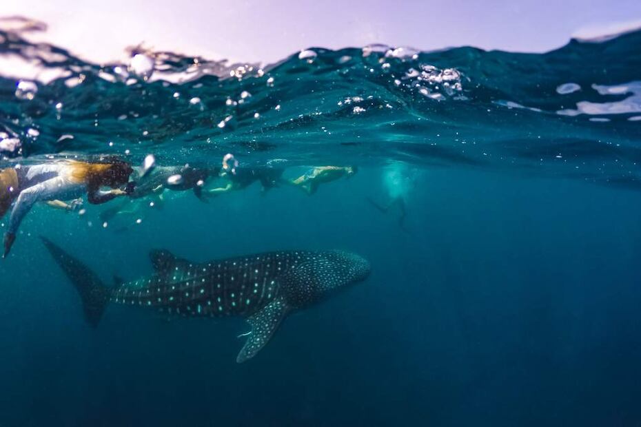 Foto: Cancún Adventures