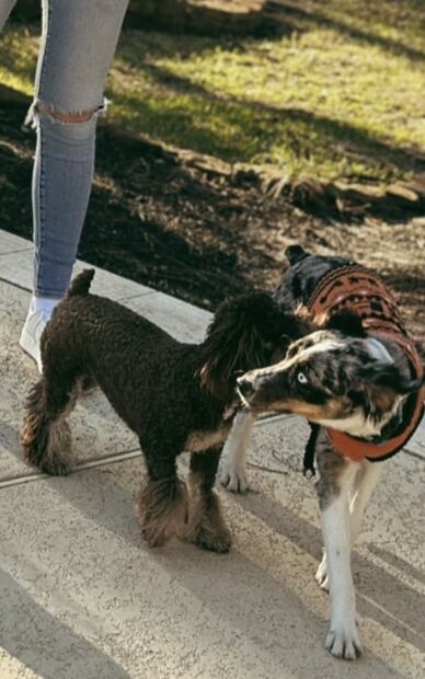 El look más natural de Ángela Aguilar sin maquillaje y jeans rotos