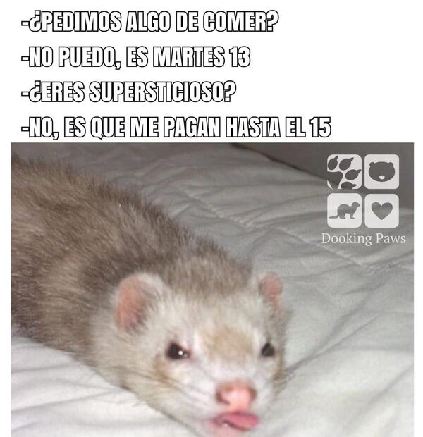 Los mejores memes que dejó el primer martes 13. Foto: Captura de pantalla