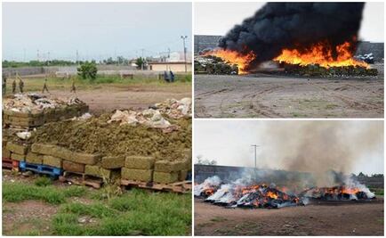 Destruyen 23 toneladas de mariguana en Culiacán