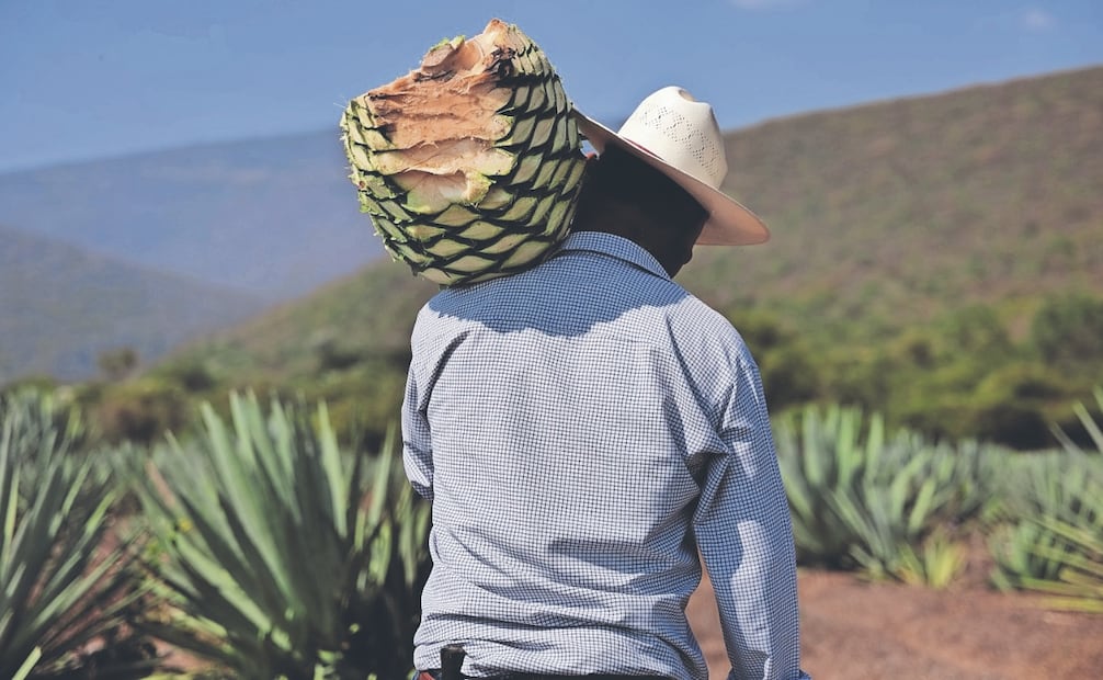 El Estado de México es una de las regiones donde el mezcal data en documentos antiguos. Fotos: de EL UNIVERSAL