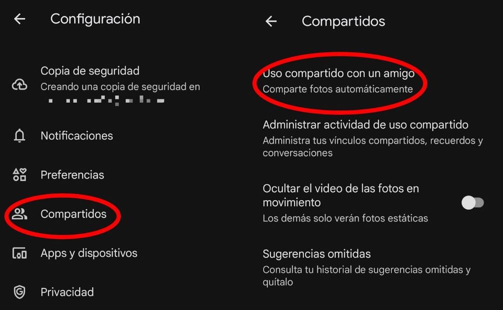 Imagen: captura de pantalla
