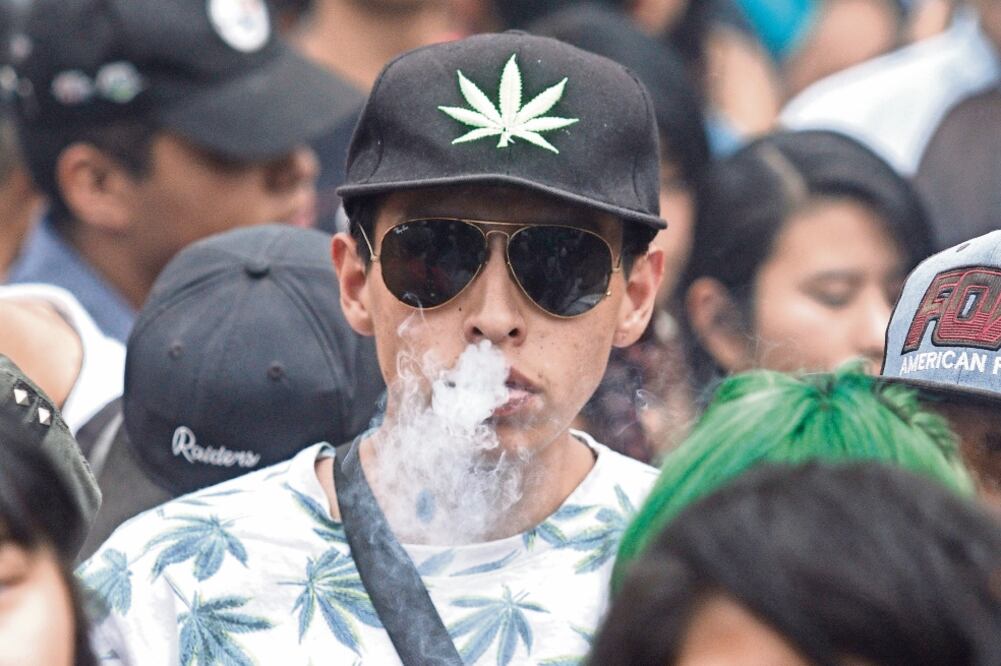 En espera. Los activistas en favor del uso recreativo de la marihuana esperan que diputados quiten la prohibición en breve. Foto: CUARTOOSCURO