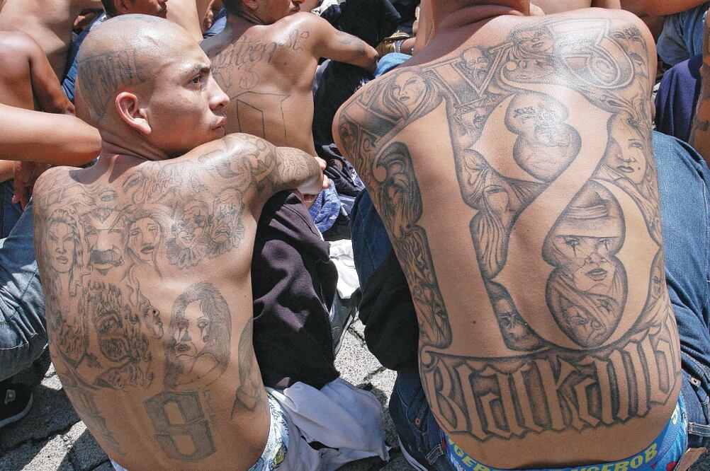 Las maras Salvatrucha (MS-13) y 18 (M-18) negocian unificarse en una sola fuerza pandilleril: Mara 503, dicen (EFE. ARCHIVO)