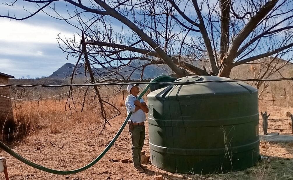 Ante la sequía se ha hecho una programación de cultivos que requieren menor demanda de agua, como frijol, garbanzo, sorgo y trigo. Foto: Especial