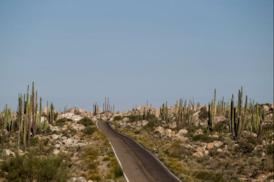 Baja California ofrece experiencia relajante e inmersiva con sus escenarios naturales