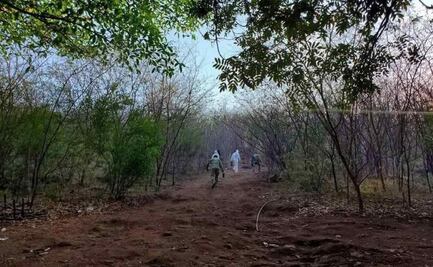Desmantelan narcolaboratorio en municipio de Acaxochitlán, Hidalgo; decomisan una camioneta