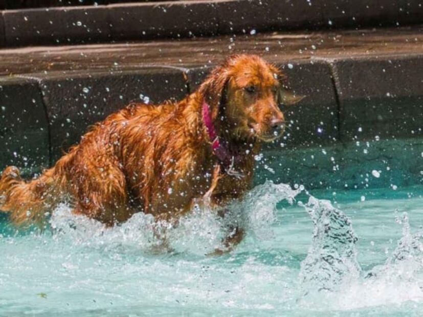Alertan por temperaturas de hasta 30 grados para este domingo en la CDMX: ¡No olvides el bloqueador! 