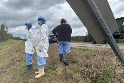 Autoridades de Mississippi buscan a tres monos de laboratorio que escaparon; aclaran que no son infecciosos