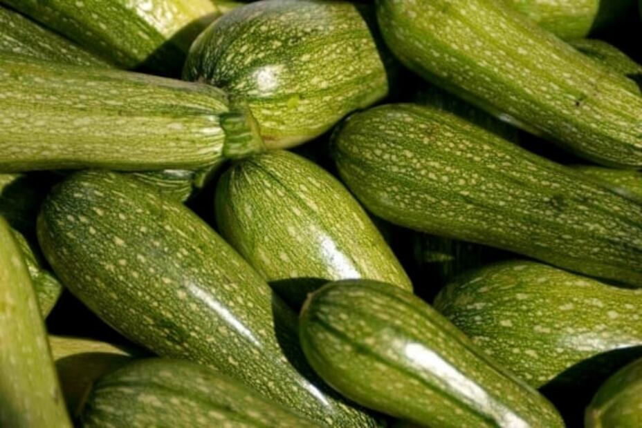 Conoce los diferentes tipos de calabaza que podemos disfrutar