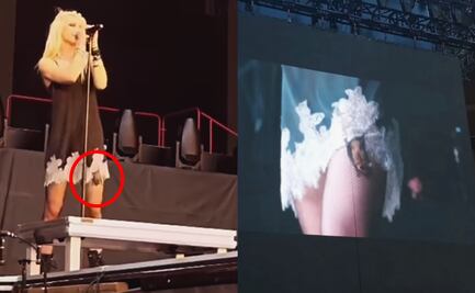 A Taylor Momsen la muerde un murciélago en pleno concierto; es tratada por rabia