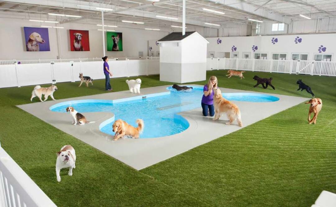 Casi dos mil metros cuadrados de lujos y facilidades para el cuidado de las mascotas en el JFK (Foto: AP)